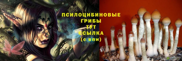 меф Протвино