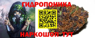 ГАЛЛЮЦИНОГЕННЫЕ ГРИБЫ Апшеронск