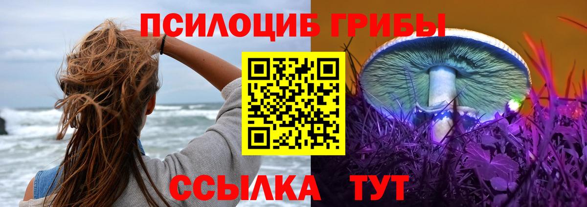 Псилоцибиновые грибы мухоморы Великий Новгород