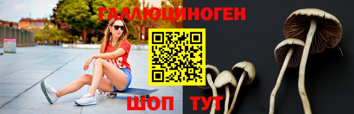 Великий Новгород  Галлюциногенные грибы GOLDEN TEACHER  Вход с VPN 
