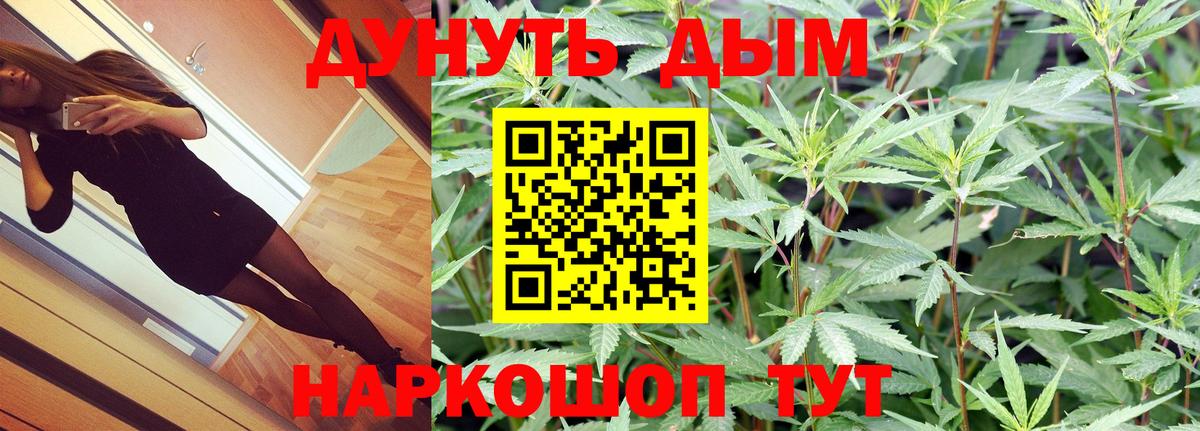 Каннабис Bruce Banner Великий Новгород